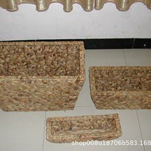 ˮ�ݻ��@ˮ���J���@���@�Nֲ�@â�����@������ˮ���J���@