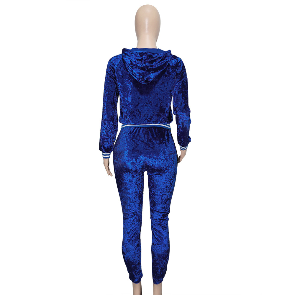 Women Wholesale Sweatsuit Sets Zipper Hoodies + Harem Pants-03