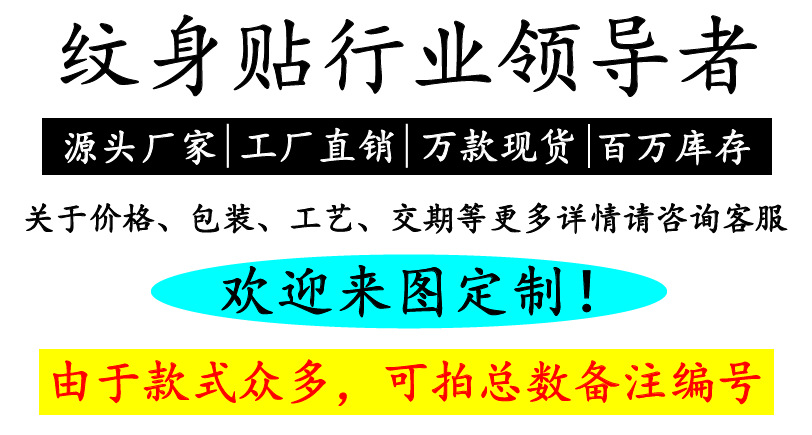文字说明