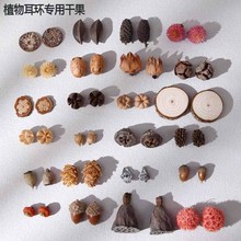 ֲ����h��Ȼ�ɹ��Ϲ϶���ς��Ԅ���������b��Ϲ���