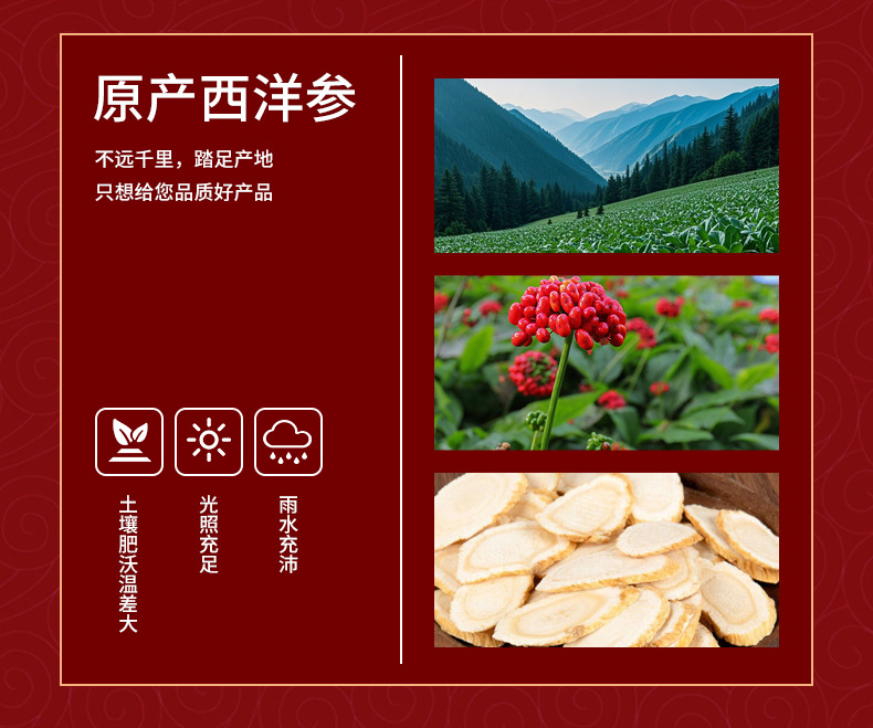 American Ginseng Powder Xi Yang Shen 500g Fine Ground Changbai Mountain Herb key features