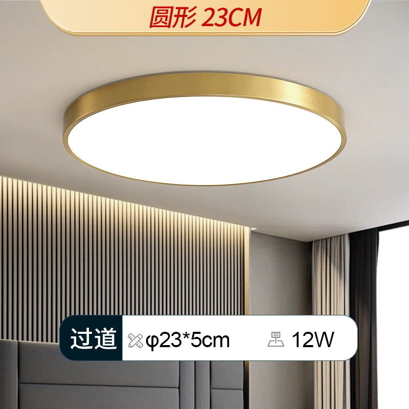 Golden LED ceiling light, lights for corridor, room light, light luxury style