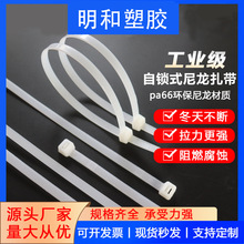 自锁式尼龙扎带黑白色卡扣塑料束线带捆绑带强力束线带电线捆绑带