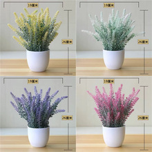 Ư���b�С�������ϻ��ٻ������b�辰�b͏d�ҾӲ廨����