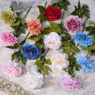 ��֦����ĵ������ٻ���������c�Y�û��Ż�ˇ�b߼��п͏d�[��