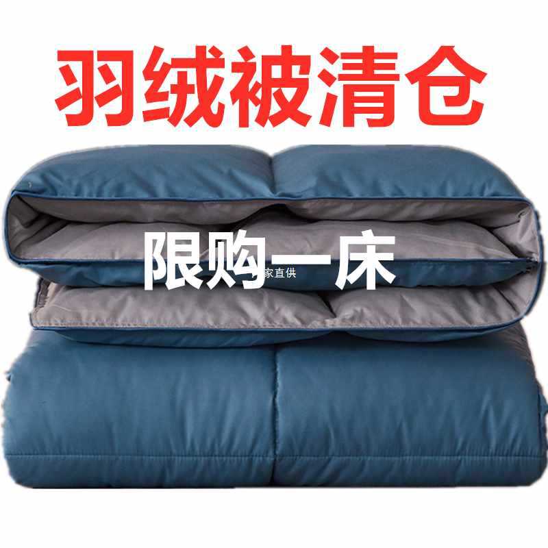 Wholesale white duck down quilt duvet thickened warm winter quilt core warm student dormitory single and double spring and autumn quilt