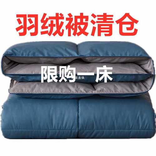 Wholesale white duck down quilt duvet thickened warm winter quilt core warm student dormitory single and double spring and autumn quilt