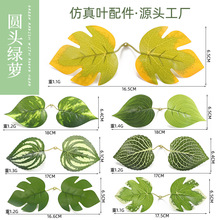 ����A�^�G�}�Gֲ���~�������Ͻ����~������ֹ��҃ȾGֲ�Ҿ��b�