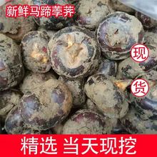 �R�����l�V�����rݩ�j�������������r���خaˮ����ʳ�F�ڬF�l