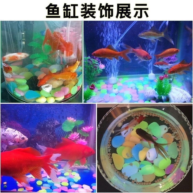 2c8a6785-0bb5-499d-8c44-9a8bbdcedb25.jpe