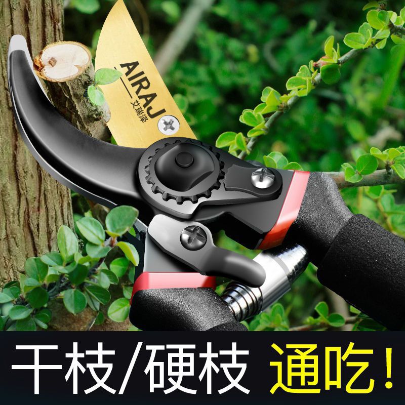 【平滑不伤枝】艾瑞泽果树修枝剪刀粗枝省力花艺剪园林园艺修花树