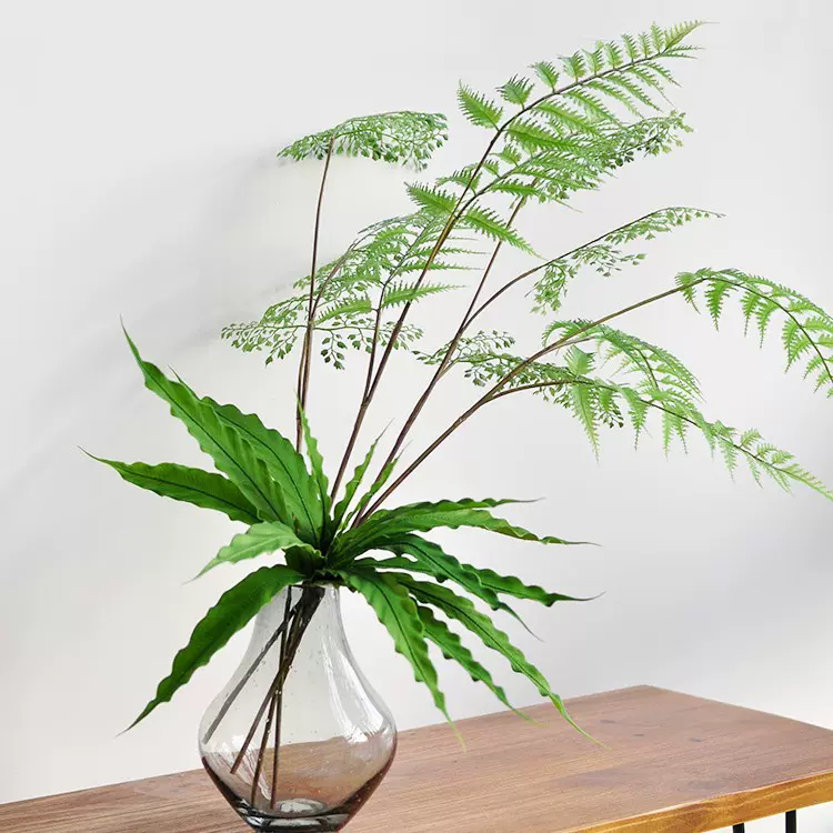 仿真绿植蕨叶植物三叉绿植叶子室内家居绿化桌摆家饰侘寂风格装饰