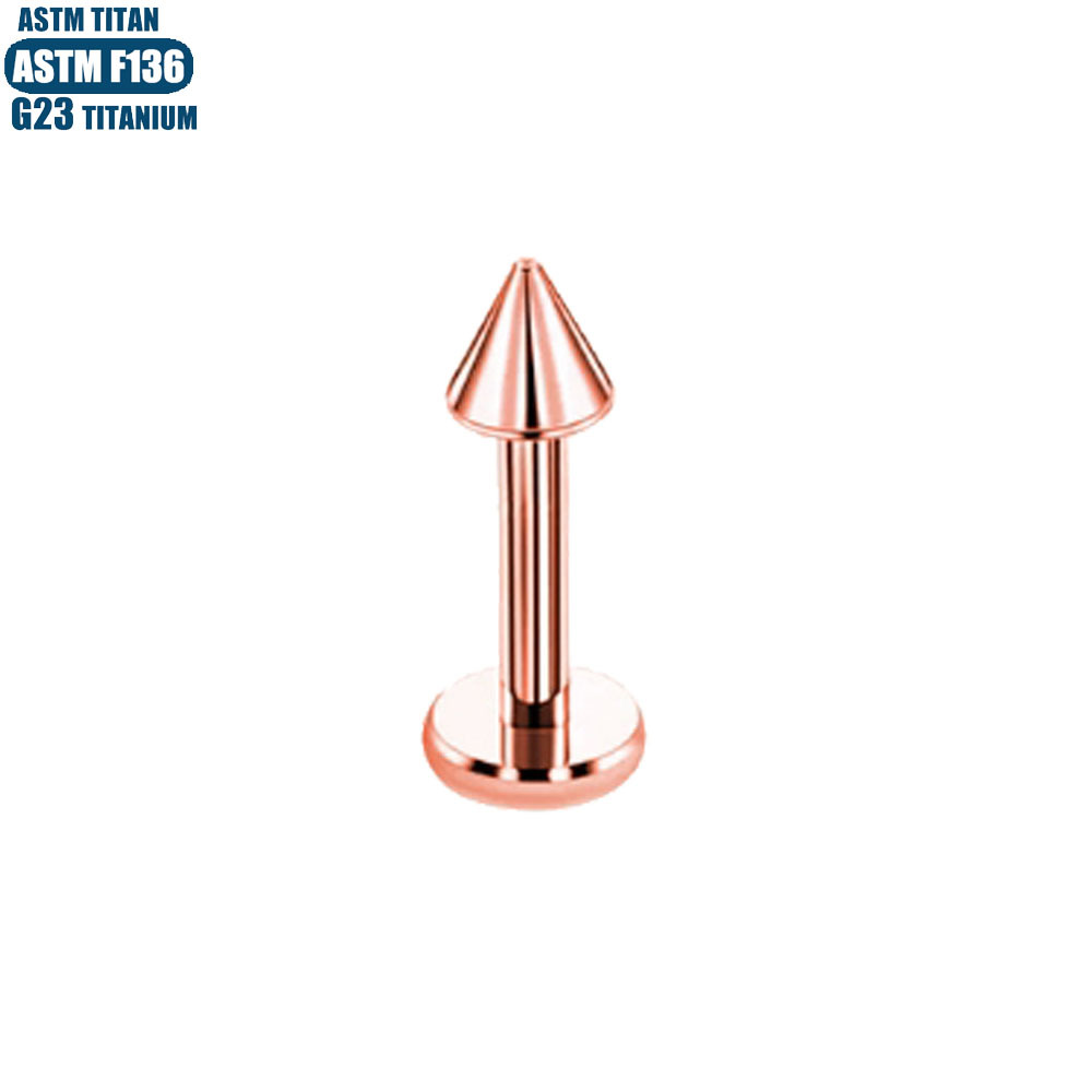 G23 Titanium Pointed Lip Nail Earring Internally Threaded Small Ear Nail Piercing Cartilage Ring Ear Bone Nail Lip Ring detail image 11