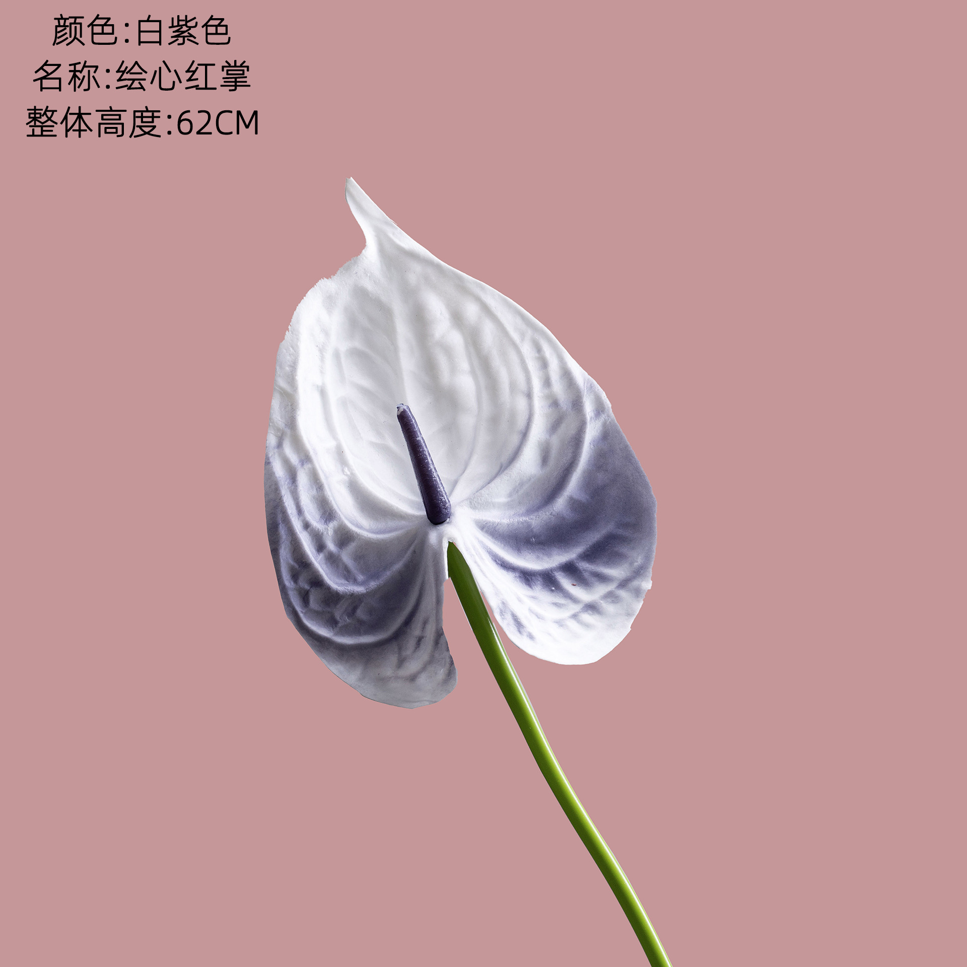 흰색 보라색