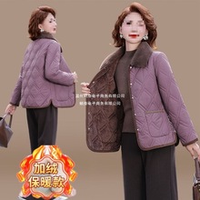 �����ﶬ�b�ӽq�������Ӻ�����2025�¿��������������b��ů���\