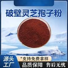 �`֥���ӷ� �S��ֱ��