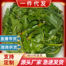 2025�²谲Ϫ�F�^��������ɢ�踣����ɽ�m���������ɢ�b���~