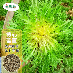 �S��3̖���ķN�����Ľ����շN���ļ��������˿�˷N��һ�����l
