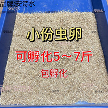 �S���x�x������x���x�� ����x�x�ѡ����]���Bֳ���lι�u��