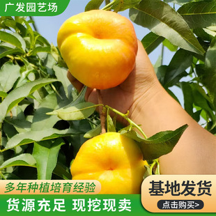 �����7̖ ����� �����Lζ�Ҙ��� ������Ә���