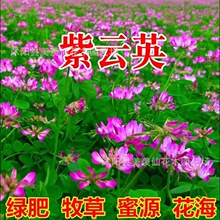 ���Ӣ�N�ӹ��@�G�ʲ������Ӣ�t������Դֲ���ϻ���ޣ�ϻ�������
