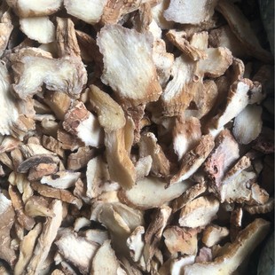 ���l���� ���g ���� �B���� ������ ���NҎ�� ������