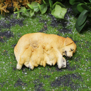 �����ë�[�����⻨�@΢���^�����辰С���b�֬��ˇƷ��Ȯ΢��