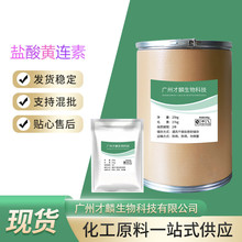 现货供应 盐酸黄连素 含量98% 盐酸小檗碱 CAS:633-65-8 原粉