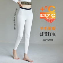 055德绒蚕丝无痕羊毛秋裤高腰加绒加厚保暖裤棉毛裤秋冬打底裤