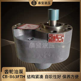 厂供应齿轮油泵CB-B50 CB-B63机床液压润滑齿轮泵电动液压泵批发