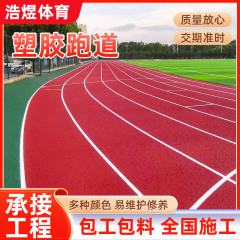 プラスチックトラック顆粒材料運動場幼稚園通気型ハイブリッド環境保護epdm顆粒プラスチックトラック