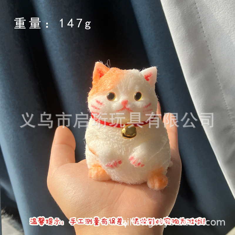 Super lindo gato gordo pellizco pellizco pelliz