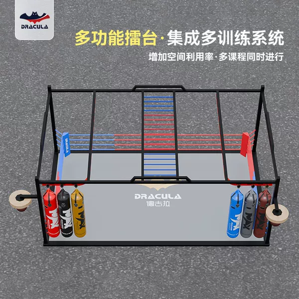 Multifunctional boxing ring, gym equipment, and MMA integrated immersive combat training station
