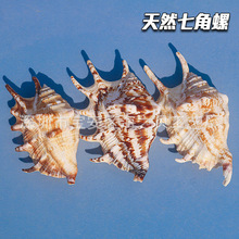 ��Ȼؐ�������߽���һ�����l�~���b�ˮ���쾰�Ҿӵ�̨���Ô[��