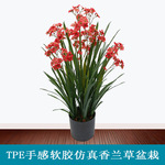 手感软胶仿真花蝴蝶兰植物景观装饰摆件室内外橱窗造景玉兰花盆栽