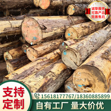 美国黄桧木 古建寺庙圆木 可定制加工实木家具材桧木原木