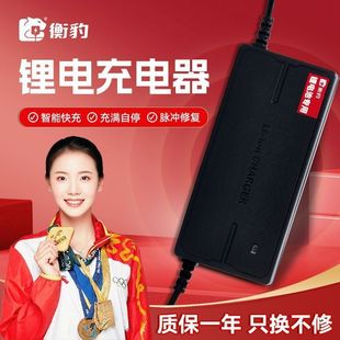 �늳س����48V2A/48V3A36V60V72V��݆܇����܇��݆܇늄�܇