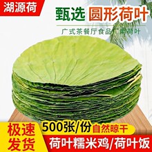 500ÈAκ~r~u100/Ȼ