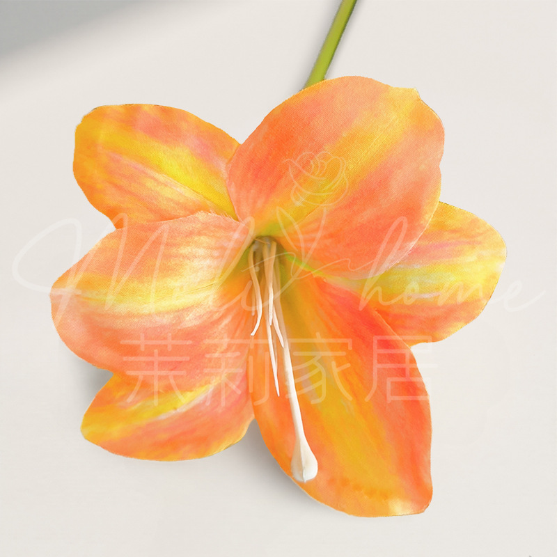 감 오렌지-단일 가지 Hemerocallis