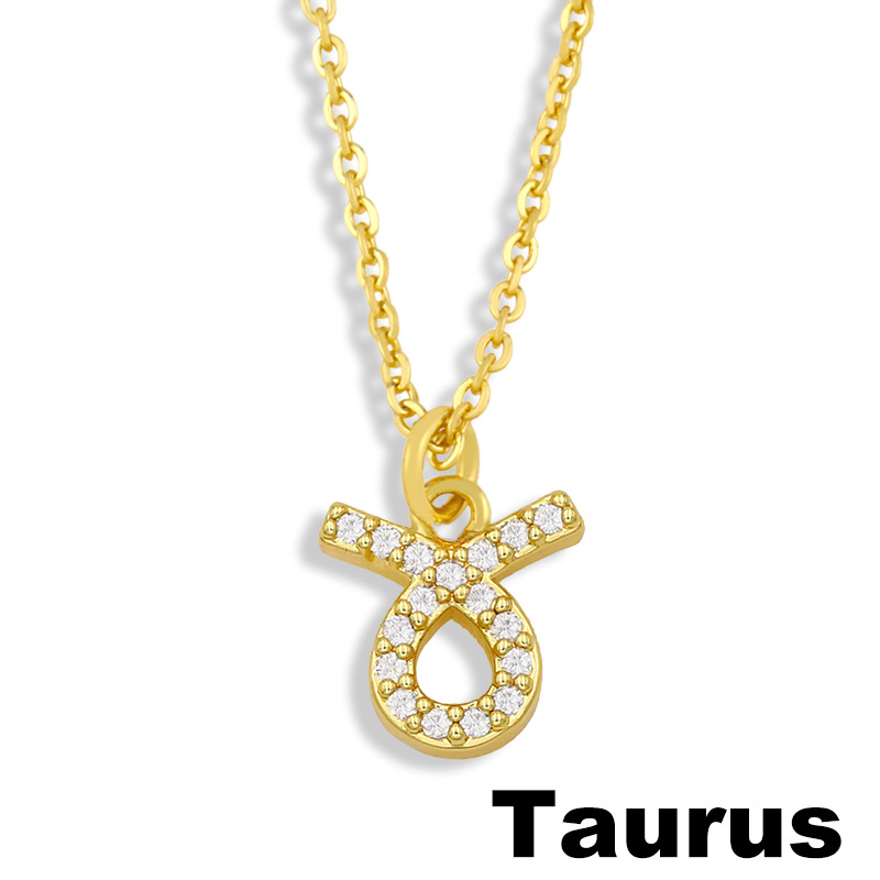 Fashion Twelve Constellation Symbol Pendent Necklace display picture 5