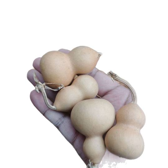 Wholesale American gourd general currency natural gourd wholesale stall hand twist text play