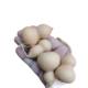 Wholesale American gourd general currency natural gourd wholesale stall hand twist text play