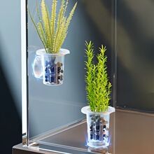 W 15077 Plastic Hydroponic Pot ����ˮ�ඨֲ���羳����ͨ