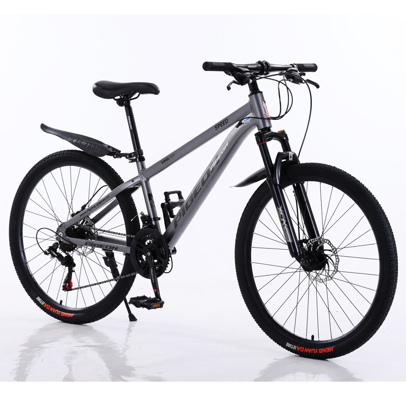 Explorer Aluminum Frame Shimano-Matte Gray 21 Speed