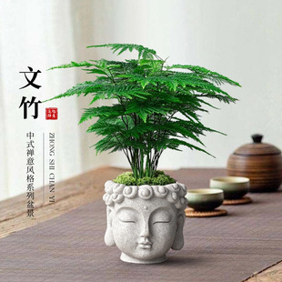 ���������҃�ֲ���k��������Gֲ�����辰�ļ�������ʽ�U���L�[��