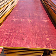 SֱNȩzľNҎ񹤵1436ľģ彨Bģ