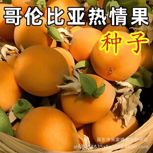 ��������N�ӡ��ļ����N�̨СԺ���Ե��Ժ����ļ��_���߮aˮ��