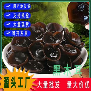��ľ����؛С�������o�����|�o���������ȻԴ�^���Sһ��؛Դ