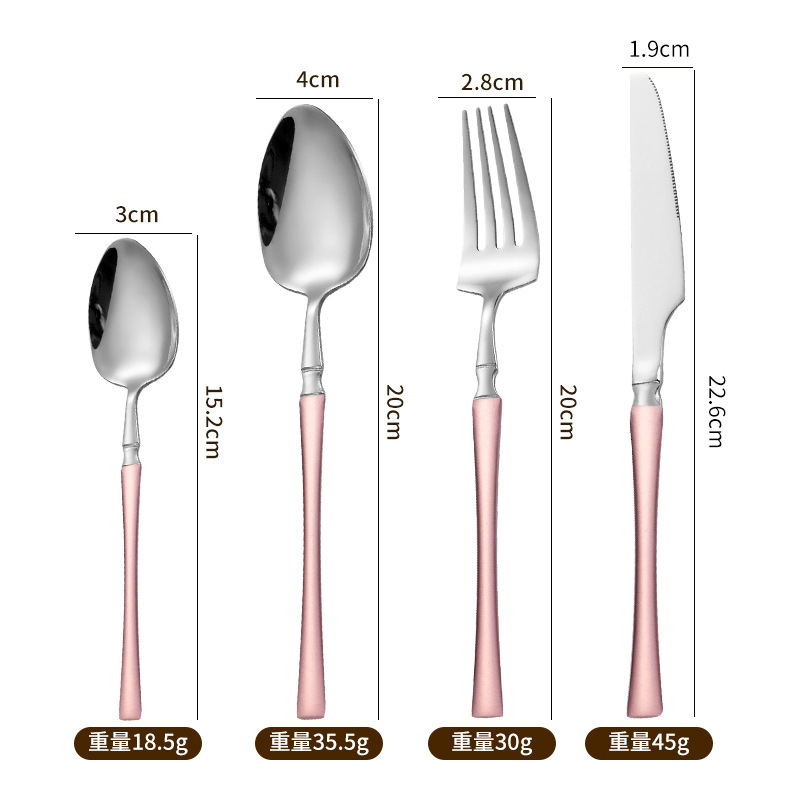 Rosa plata-Conjunto de 4 piezas