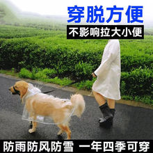 ��������̩�ϲ�ȮС��Ȯ��ë����Ȯ͸��������ˮ����һ���Թ�����